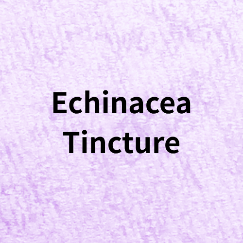 Echinacea Tincture Quiz＠botanical-study.com