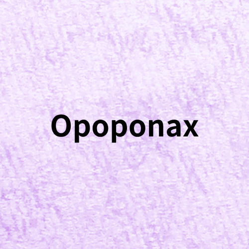 Opoponax Quiz＠botanical-study.com