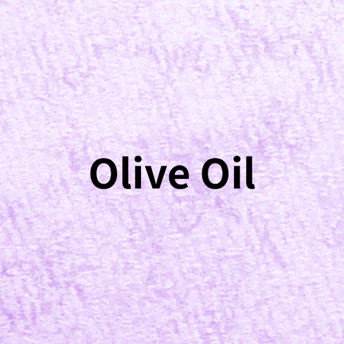 Olive Oil  Quiz＠botanical-study.com