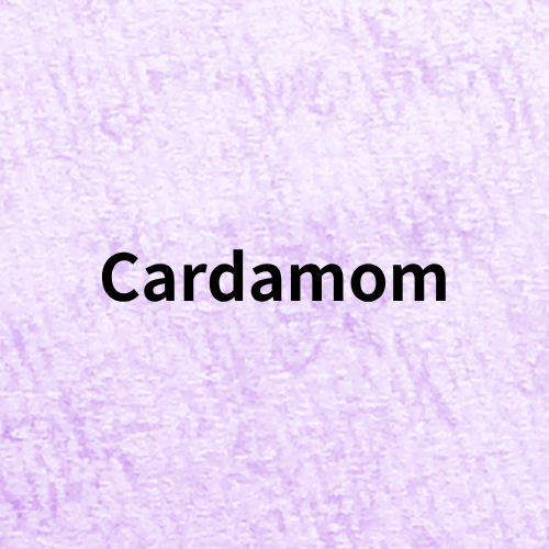 Cardamom Quiz＠botanical-study.com