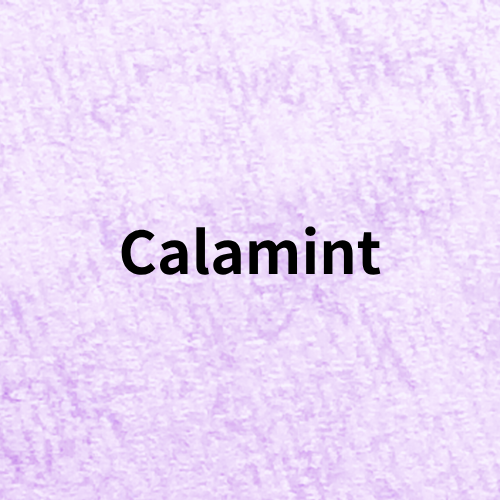 Calamint Quiz＠botanical-study.com