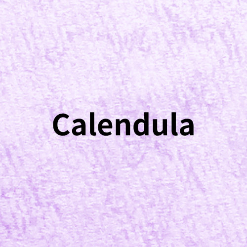 Calendula Quiz＠botanical-study.com