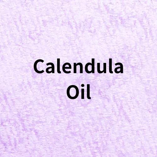 Calendula Oil Quiz＠botanical-study.com