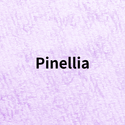 Pinellia Quiz＠botanical-study.com