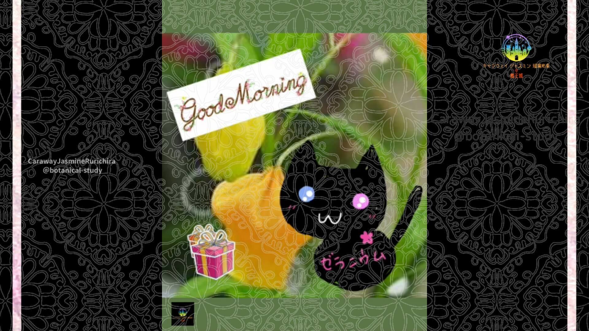 9月19日誕生花サンダーソニア by Cジャスミン瑠璃地楽 | botanical-study.com
