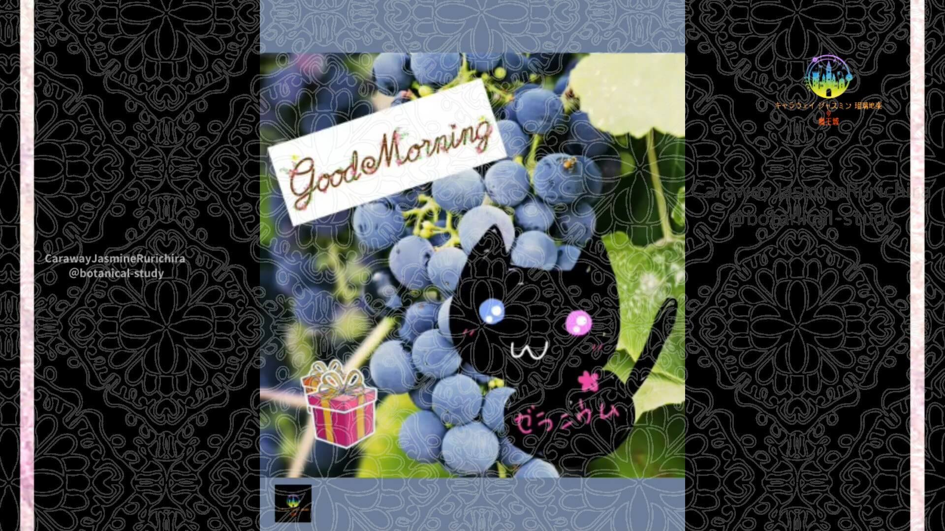 9月11日誕生花ブドウby Cジャスミン瑠璃地楽 | botanical-study.com