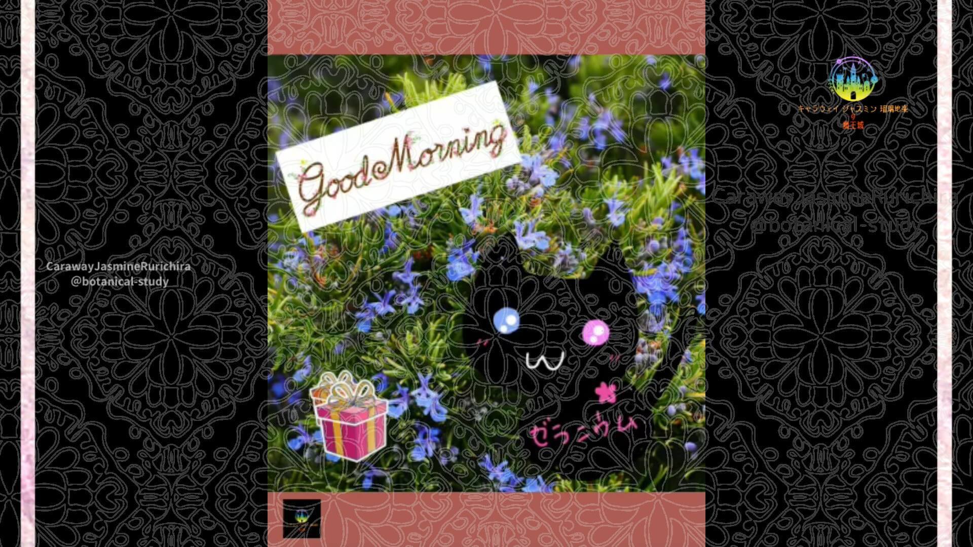 9月17日誕生花ローズマリーby Cジャスミン瑠璃地楽 | botanical-study.com