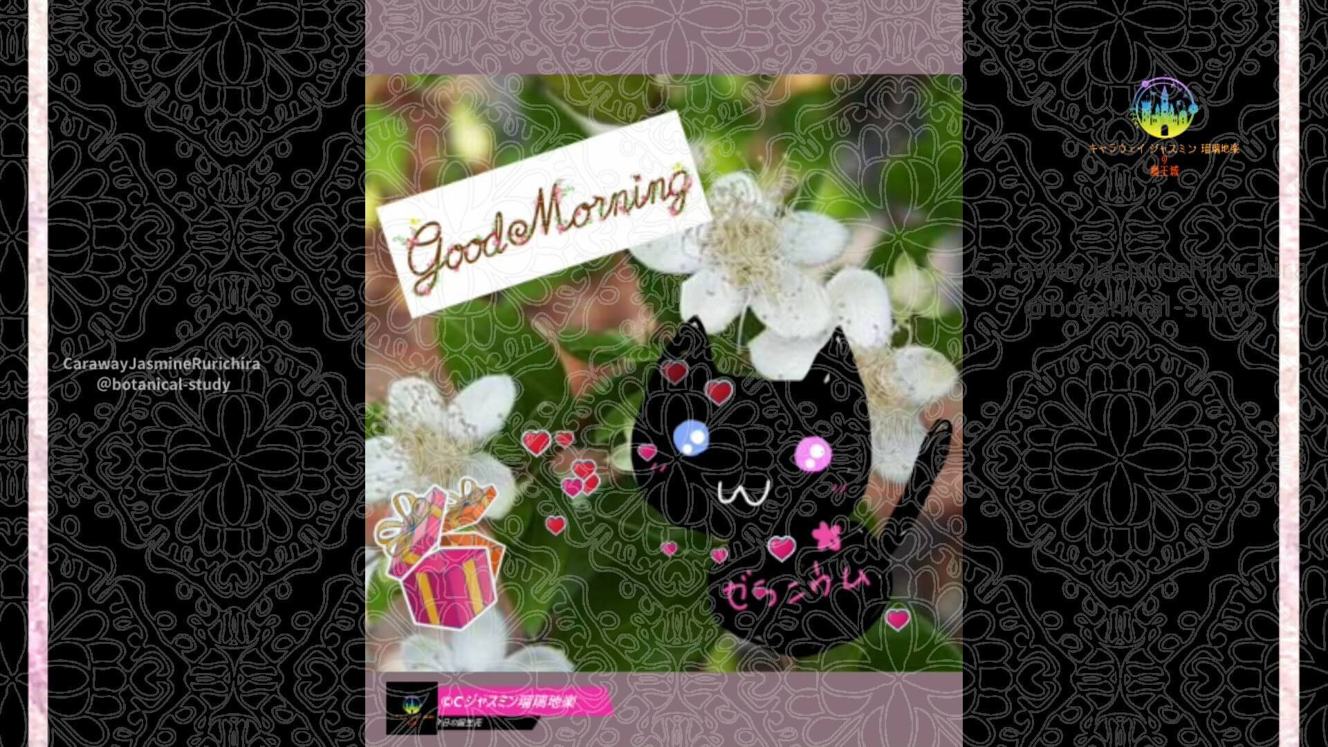 9月21日誕生花マートルby Cジャスミン瑠璃地楽 | botanical-study.com