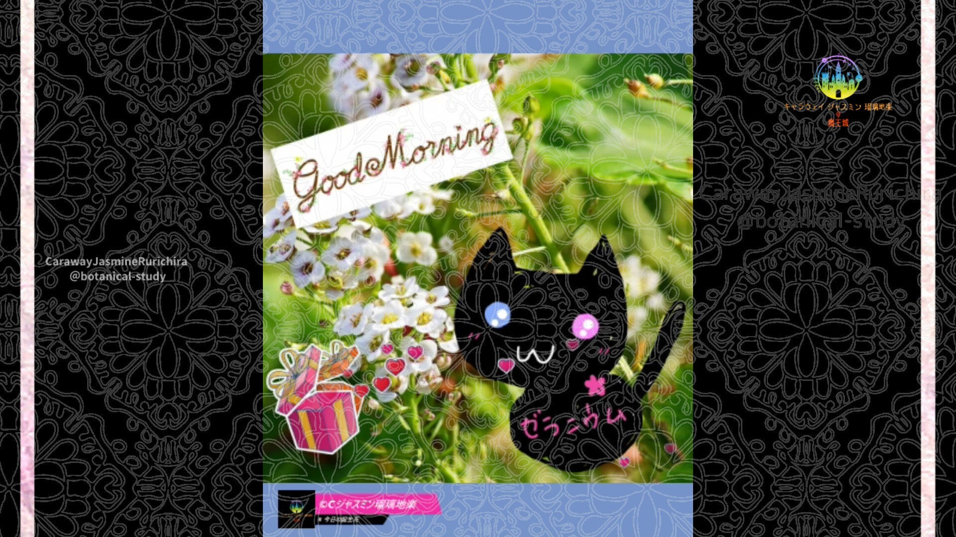 9月24日誕生花スイートアリッサムby Cジャスミン瑠璃地楽 | botanical-study.com