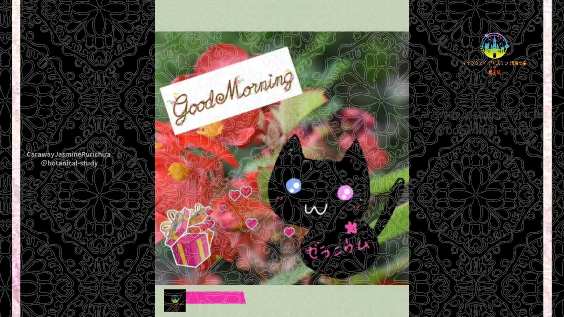 9月28日誕生花ペゴニアby Cジャスミン瑠璃地楽 | botanical-study.com