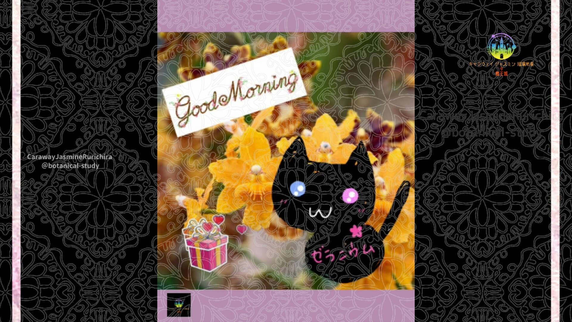 10月9日誕生花オレンジュームby Cジャスミン瑠璃地楽 | botanical-study.com