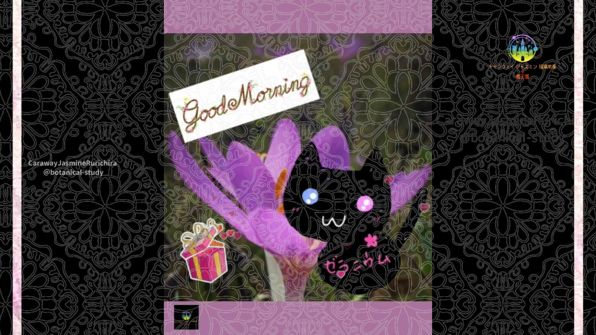 10月8日誕生花コルチカムCジャスミン瑠璃地楽 | botanical-study.com