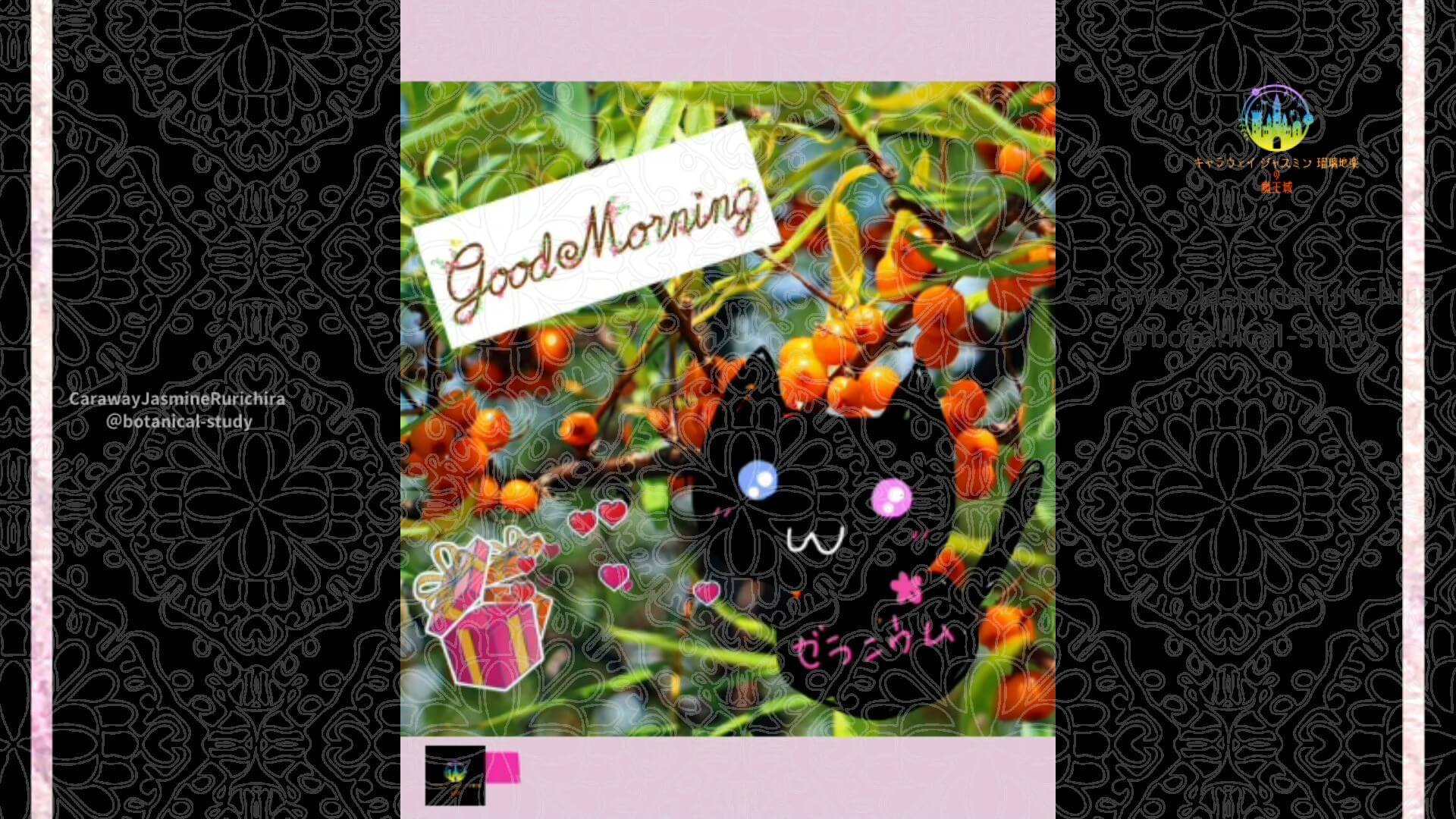 10月15日誕生花ウメモドキby Cジャスミン瑠璃地楽 | botanical-study.com