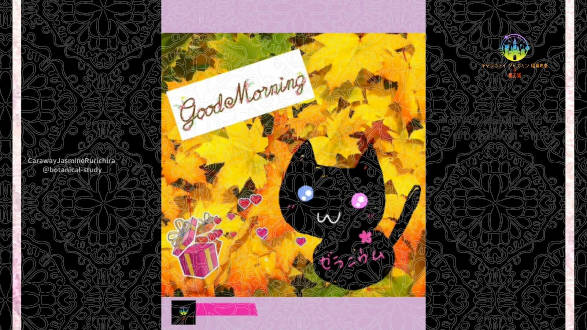 10月3日誕生花モミジby Cジャスミン瑠璃地楽 | botanical-study.com