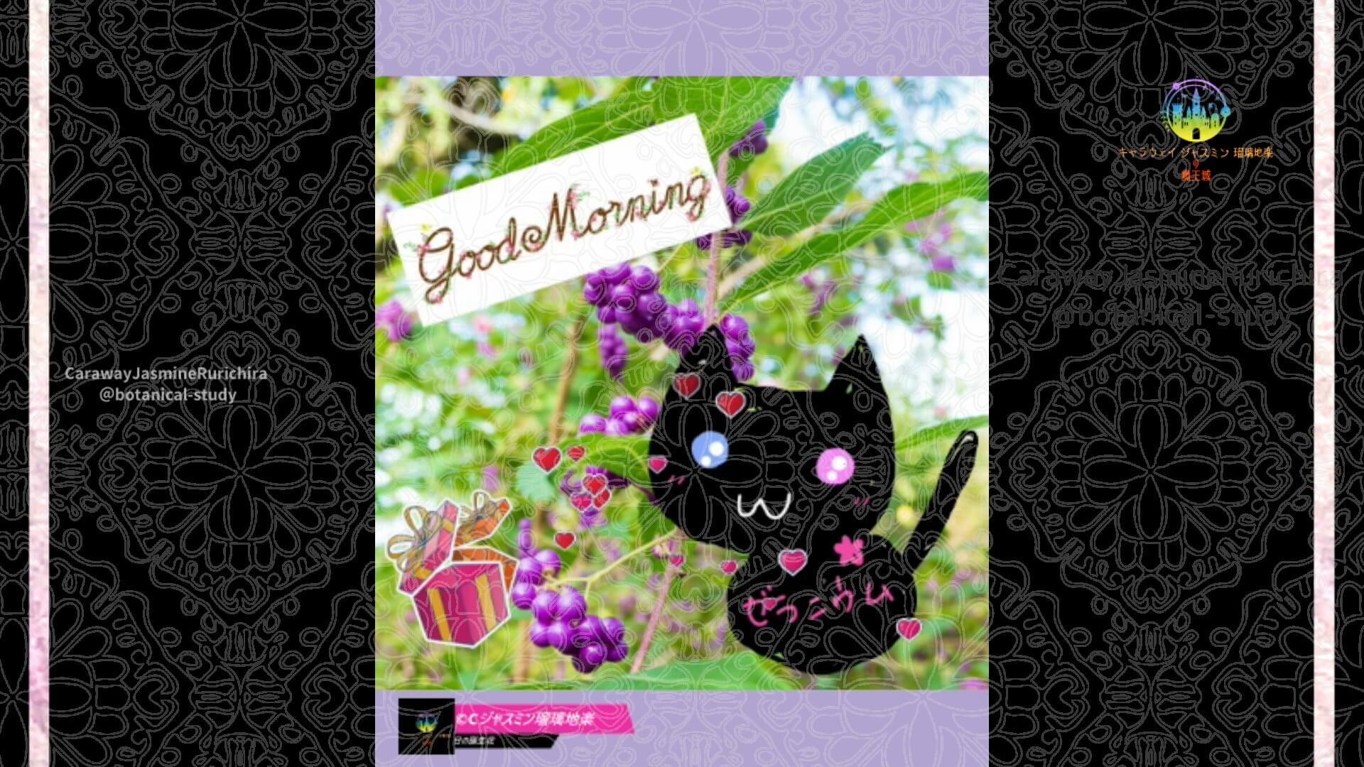 10月16日誕生花ムラサキシキブby Cジャスミン瑠璃地楽 | botanical-study.com