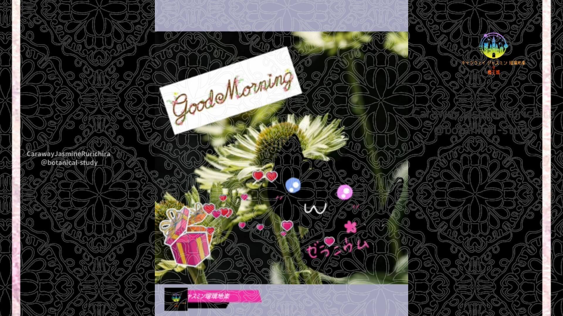 10月7日誕生花エキナセアby Cジャスミン瑠璃地楽 | botanical-study.com