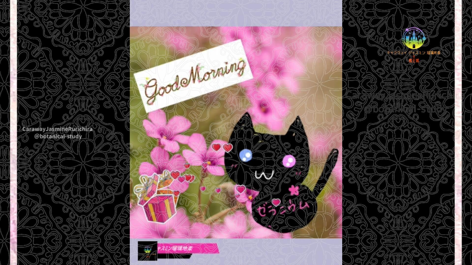 10月1日誕生花オキザリスCジャスミン瑠璃地楽 | botanical-study.com