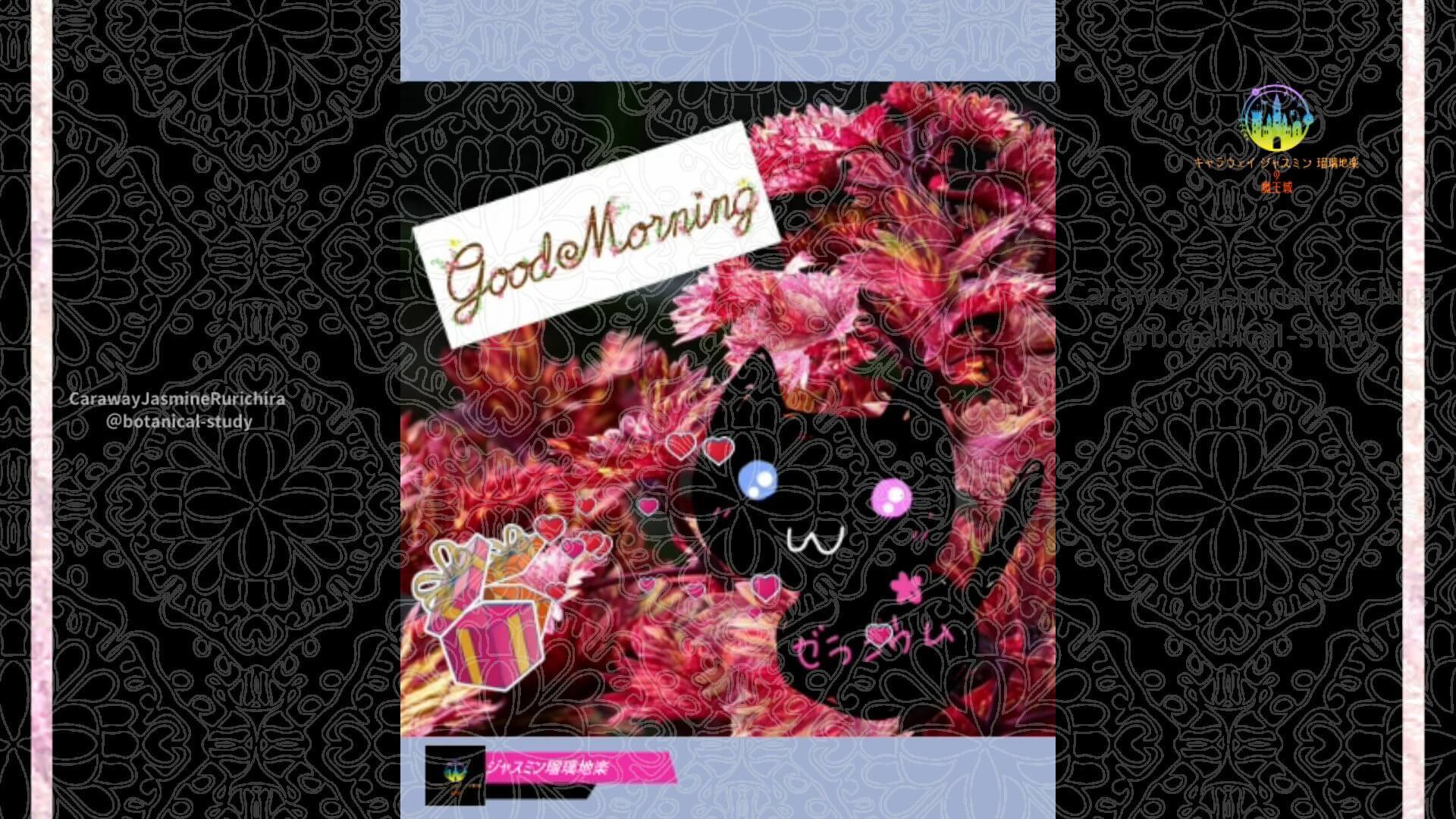 10月2日誕生花コリウスby Cジャスミン瑠璃地楽 | botanical-study.com