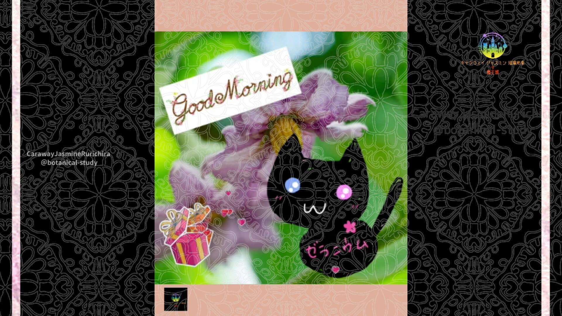 10月10日誕生花ナスCジャスミン瑠璃地楽 | botanical-study.com