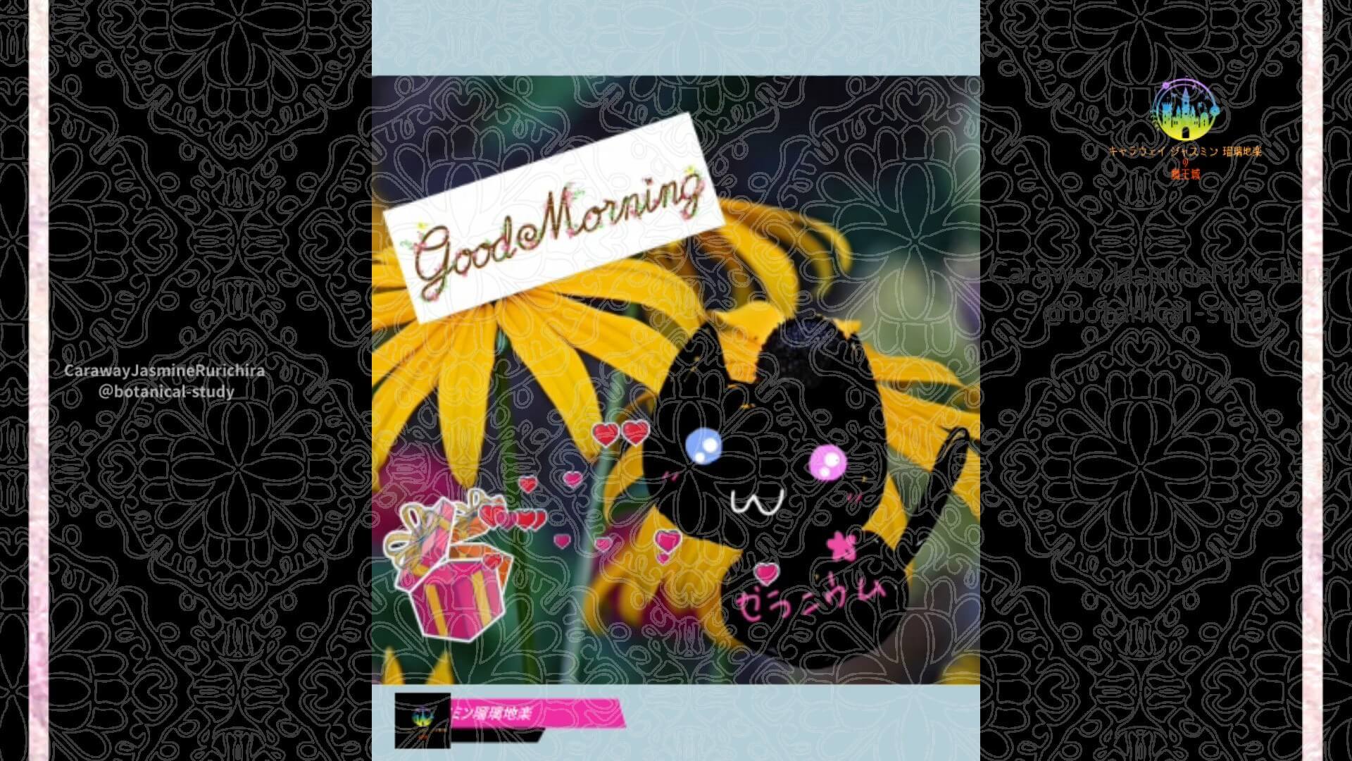 10月14日誕生花ルドベキアby Cジャスミン瑠璃地楽 | botanical-study.com