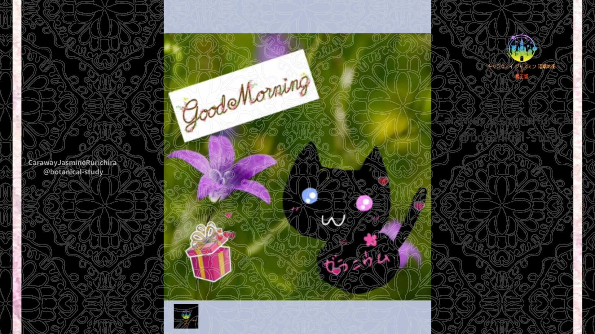 10月4日誕生花カンパニュラ Cジャスミン瑠璃地楽 | botanical-study.com