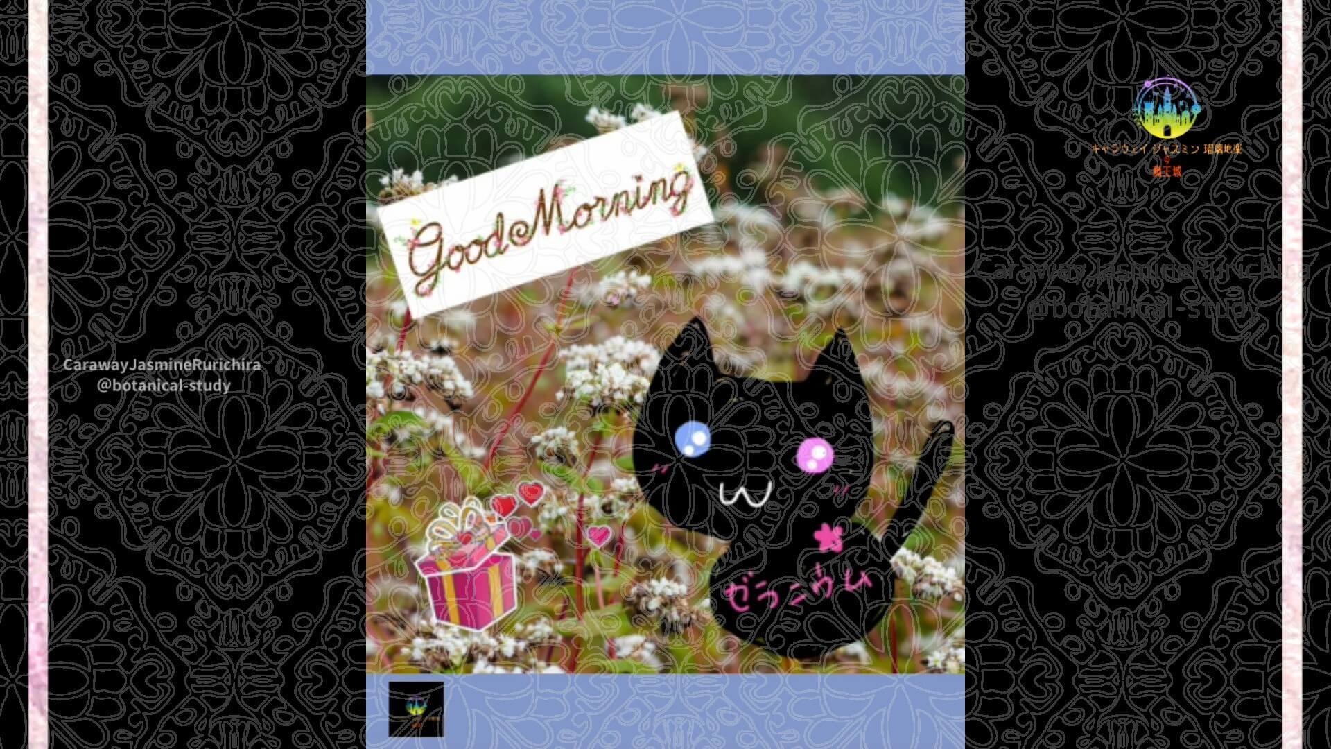 10月6日誕生花ヒメツルソバby Cジャスミン瑠璃地楽 | botanical-study.com