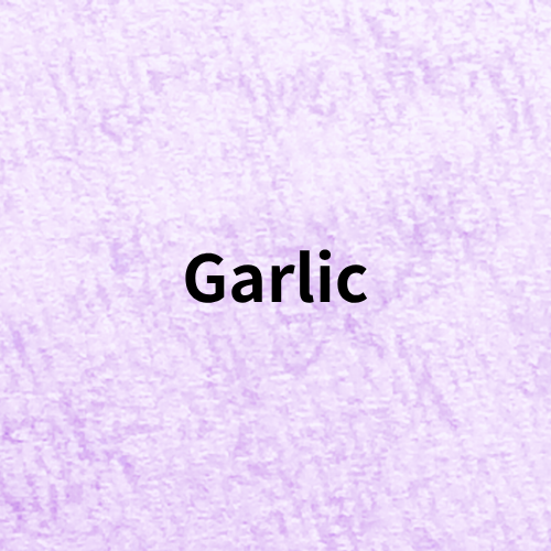 Garlic Quiz＠botanical-study.com