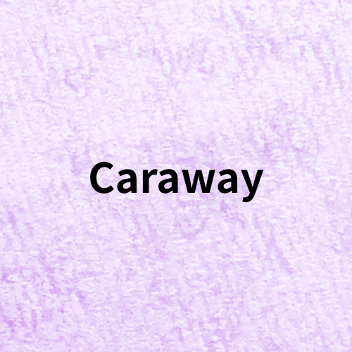 Caraway Quiz(Essential Oil・Herb・Spice)＠botanical-study.com