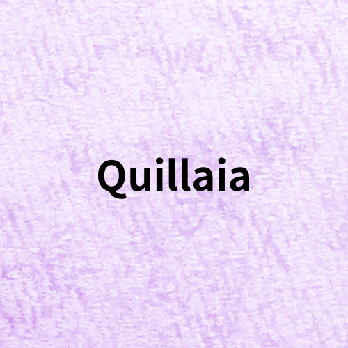 Quillaia Quiz(Essential Oil)＠botanical-study.com