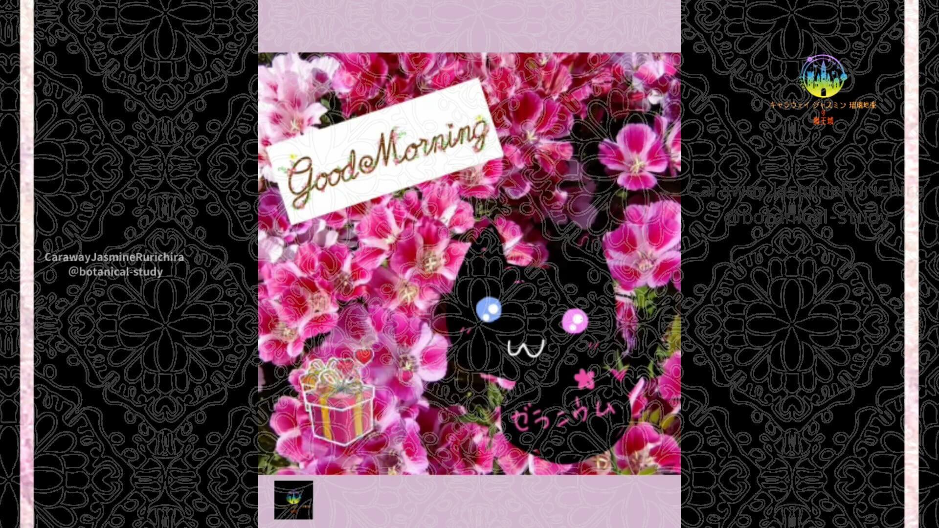 10月5日誕生花ゴデチアby Cジャスミン瑠璃地楽 | botanical-study.com