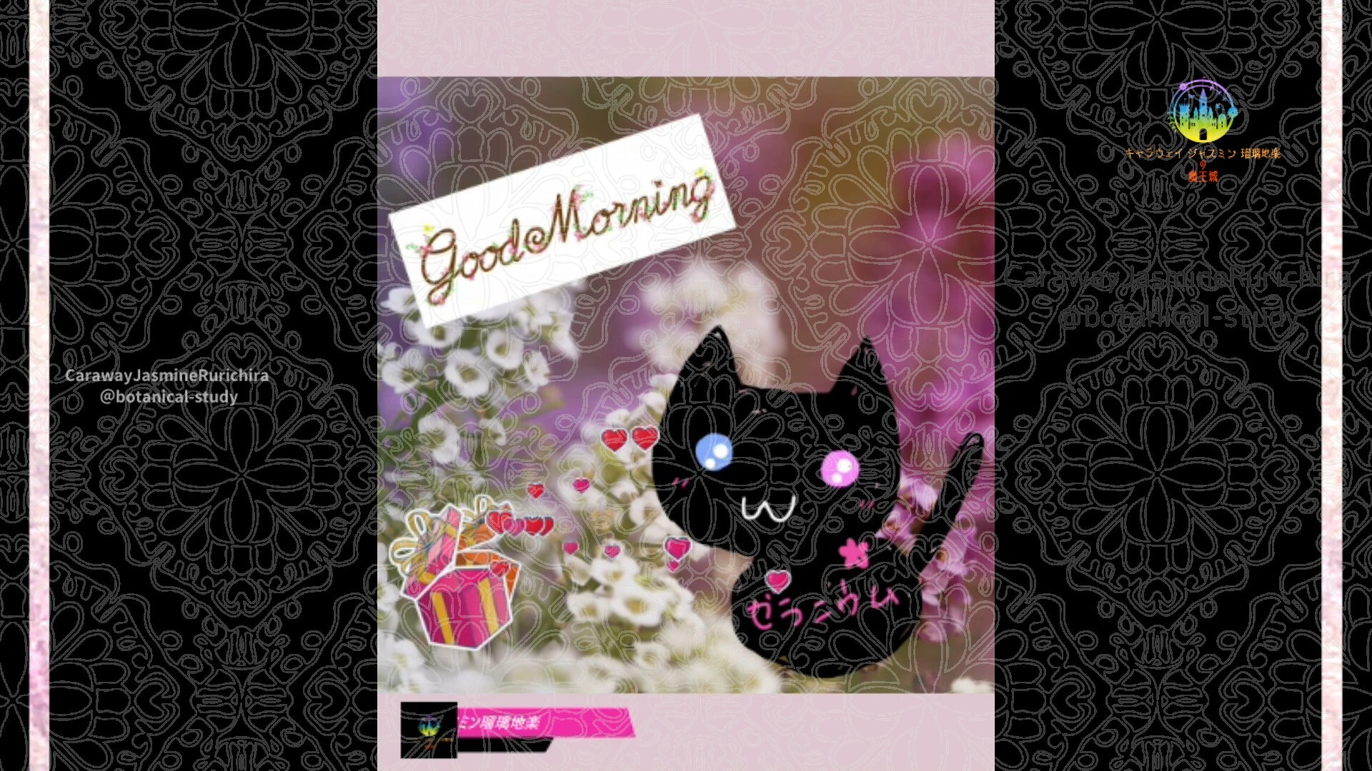 10月18日誕生花アリッサムby Cジャスミン瑠璃地楽 | botanical-study.com