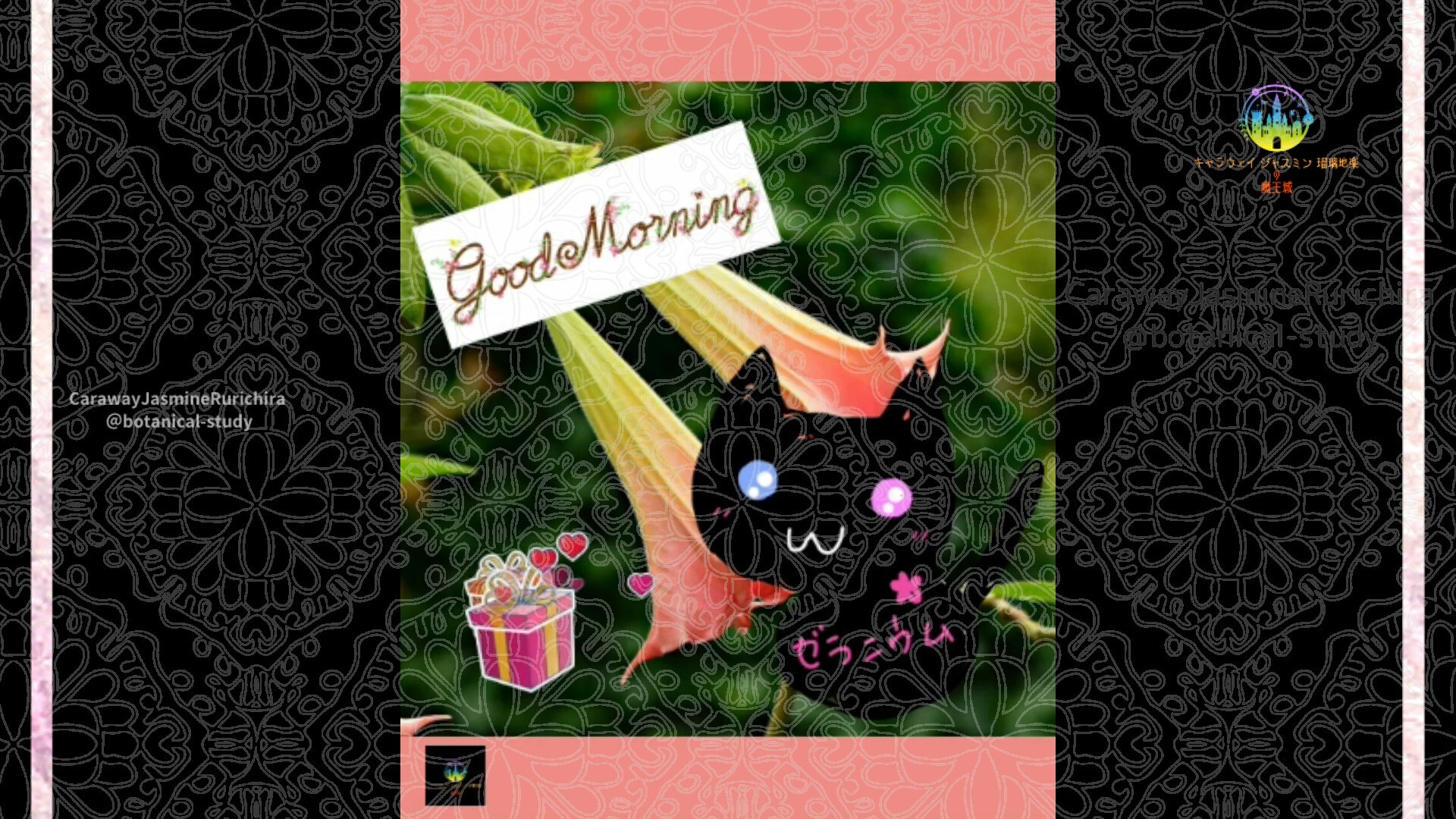 =10月19日誕生花エンゼルトランペットby Cジャスミン瑠璃地楽 | botanical-study.com