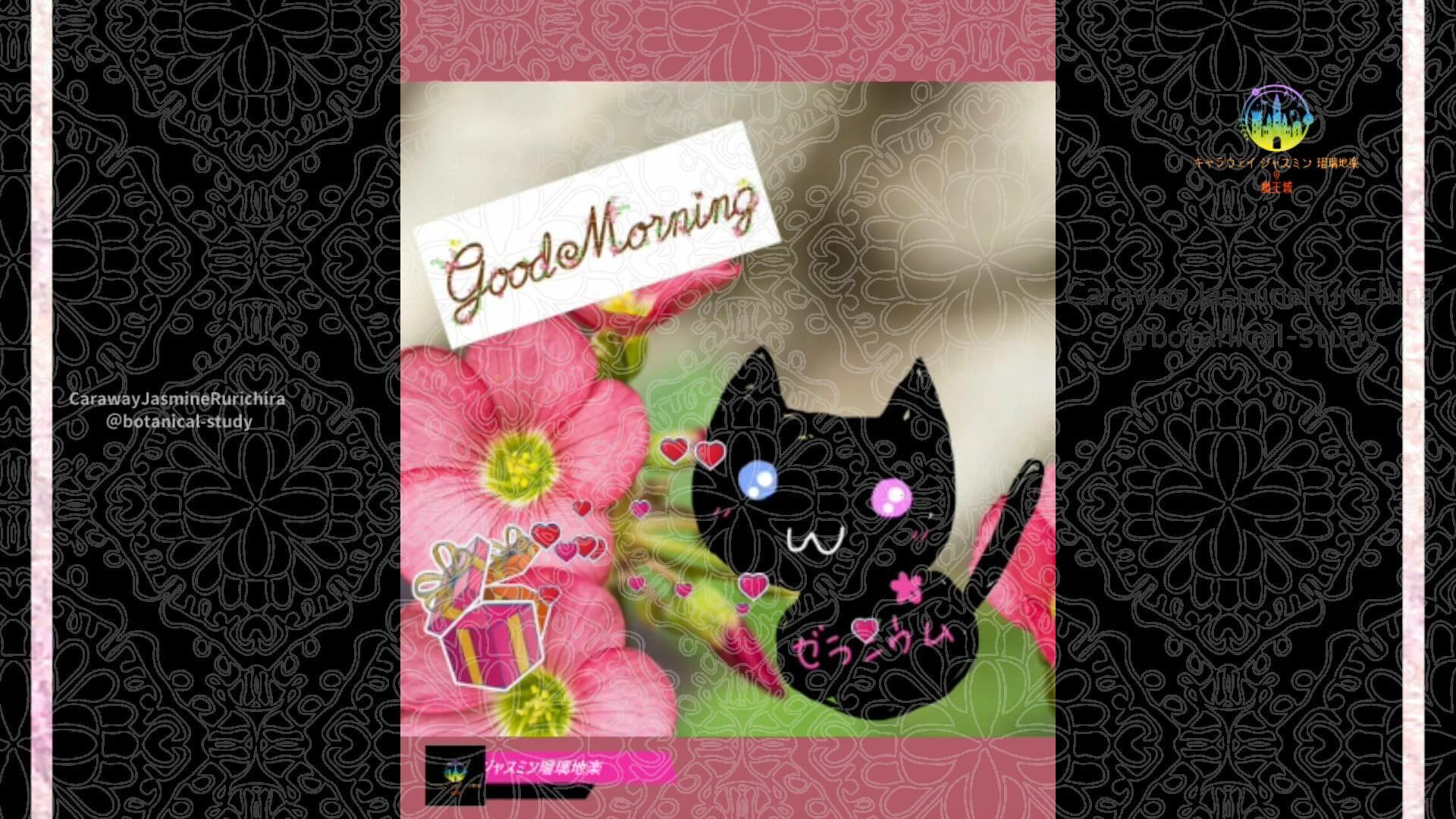 10月28日誕生花オキザリスby Cジャスミン瑠璃地楽 | botanical-study.com