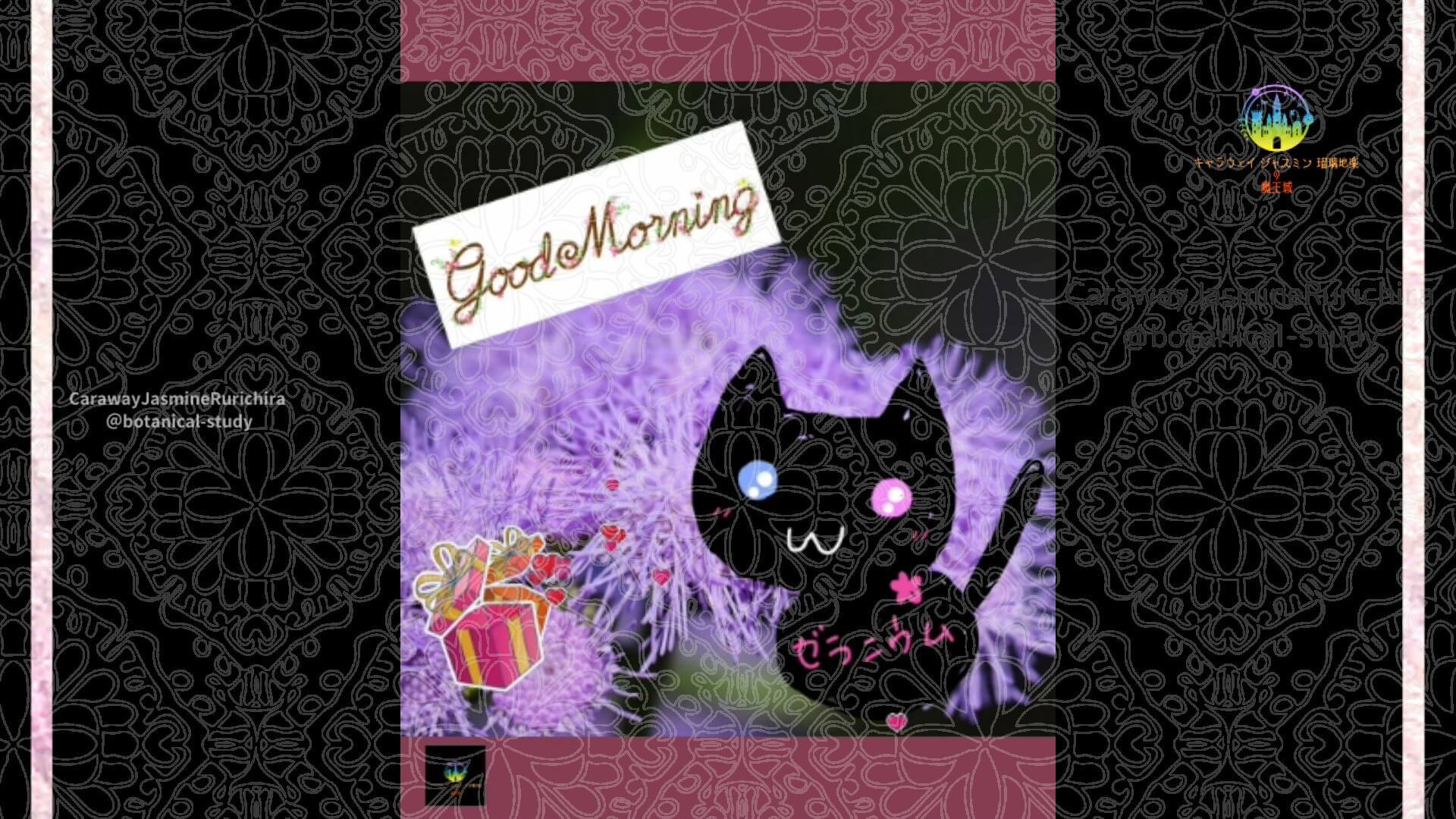 近日公開予定by Cジャスミン瑠璃地楽 | botanical-study.com