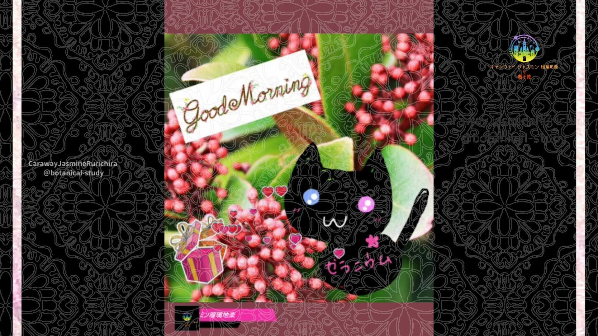 10月31日誕生花スキミアby Cジャスミン瑠璃地楽 | botanical-study.com