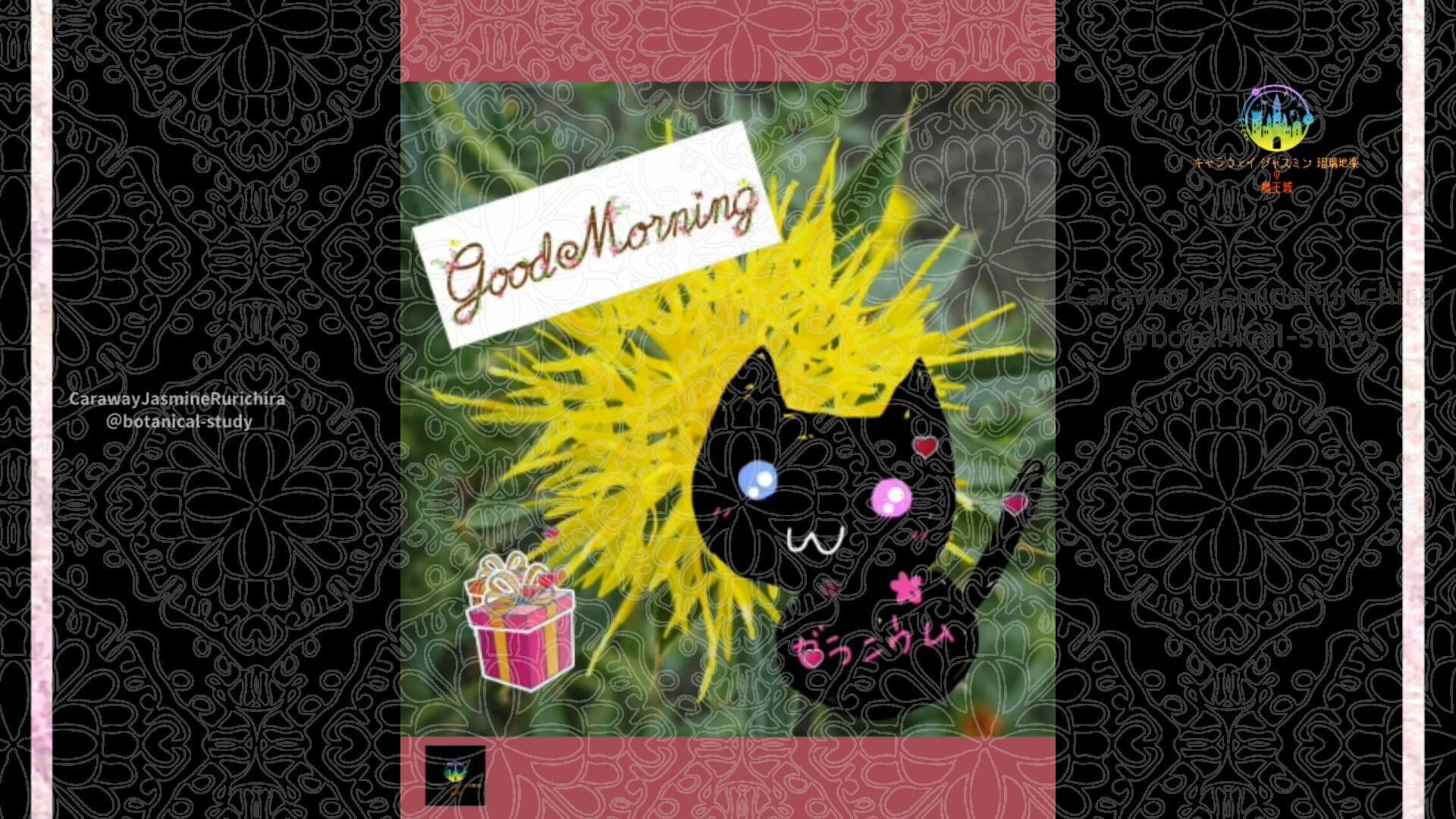 10月30日誕生花ベニバナby Cジャスミン瑠璃地楽 | botanical-study.com