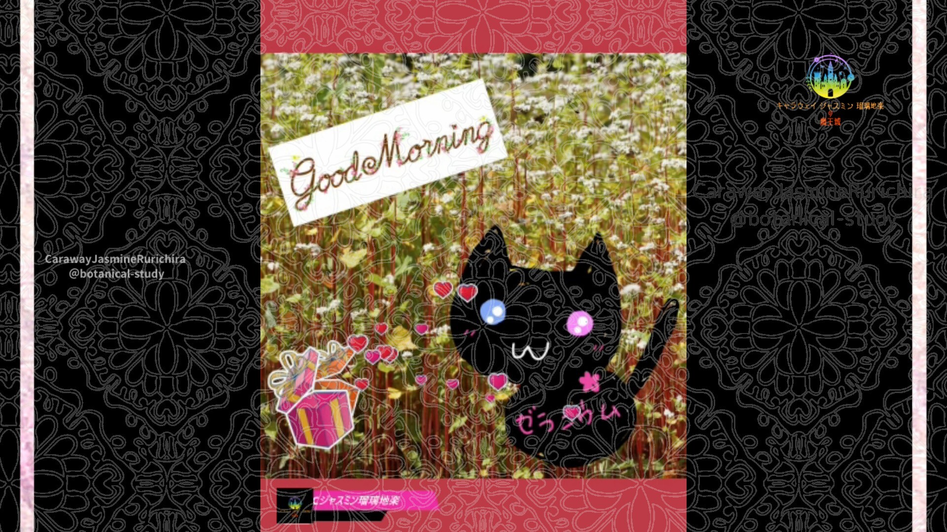 近日公開予定by Cジャスミン瑠璃地楽 | botanical-study.com