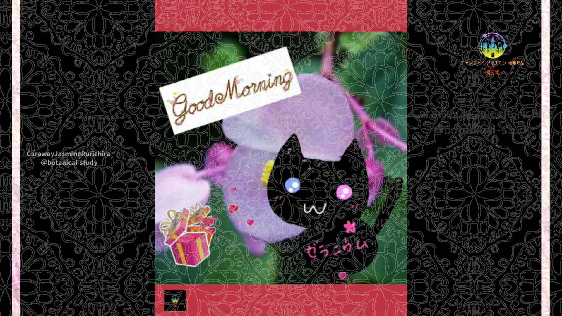 11月3日誕生花シュウカイドウby Cジャスミン瑠璃地楽 | botanical-study.com日公開予定by Cジャスミン瑠璃地楽 | botanical-study.com