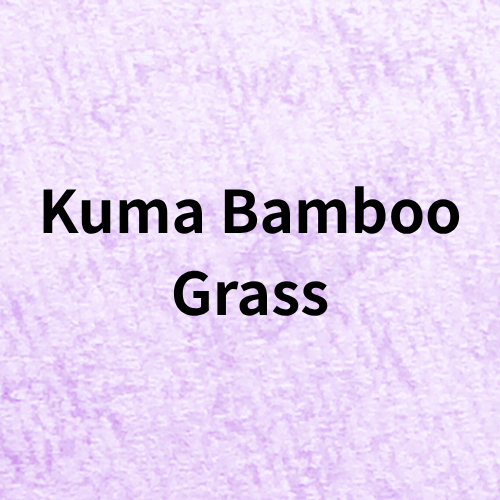 Kuma Bamboo Grass Quiz(Herb)＠botanical-study.com