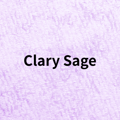 Clary Sage Quiz(Essential Oil)＠botanical-study.com