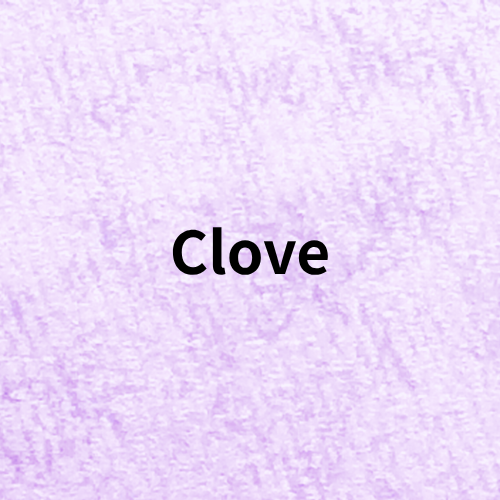 Clove Quiz(Essential Oil・Herb・Spice)＠botanical-study.com