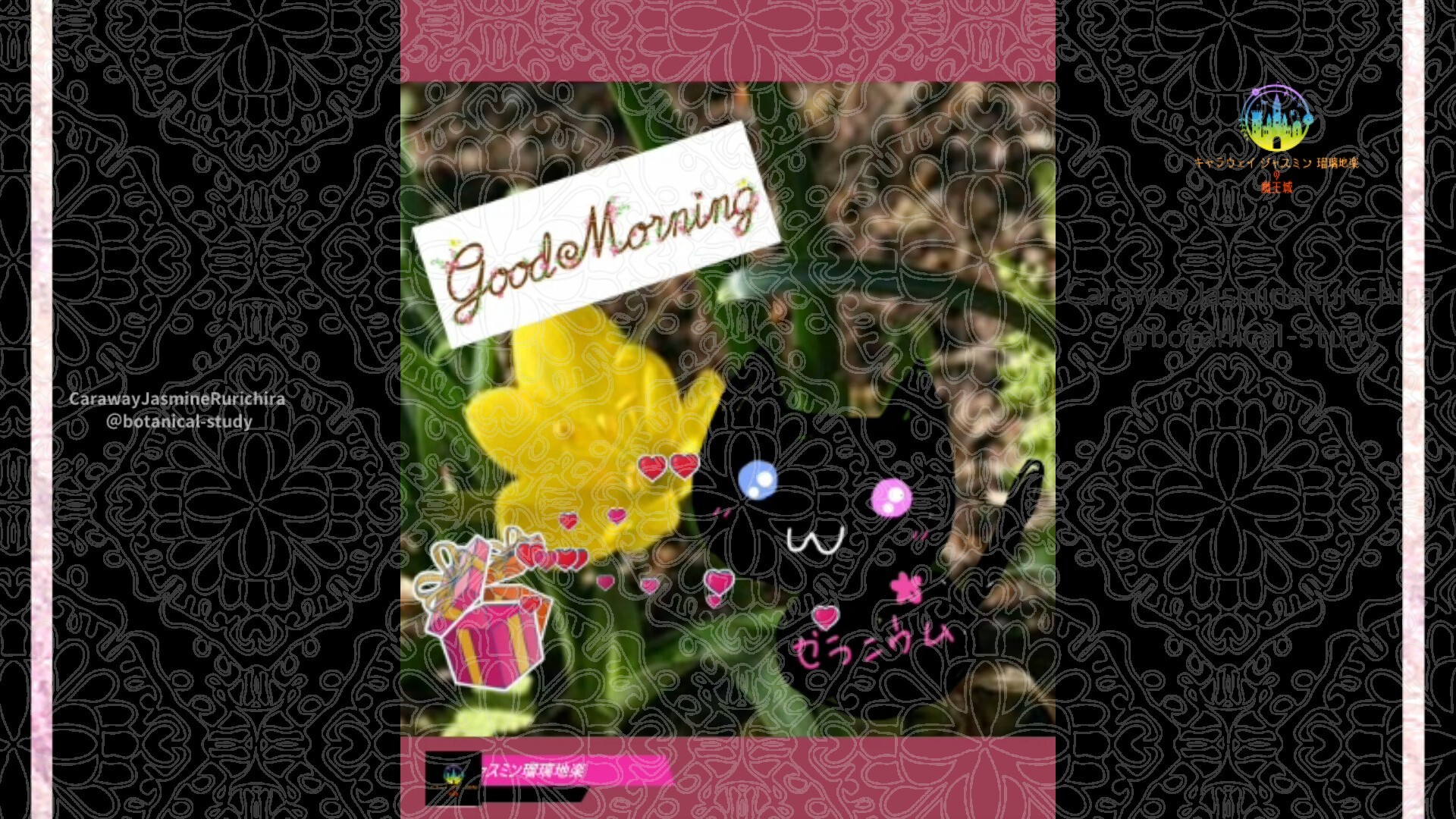 11月8日誕生花キバナコスモスby Cジャスミン瑠璃地楽 | botanical-study.com