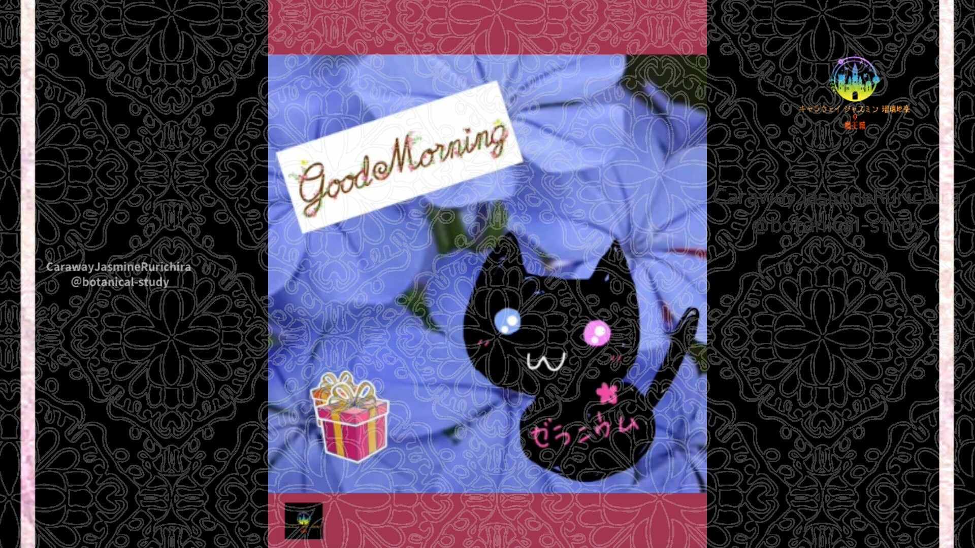 11月9日誕生花ルリマツリby Cジャスミン瑠璃地楽 | botanical-study.com