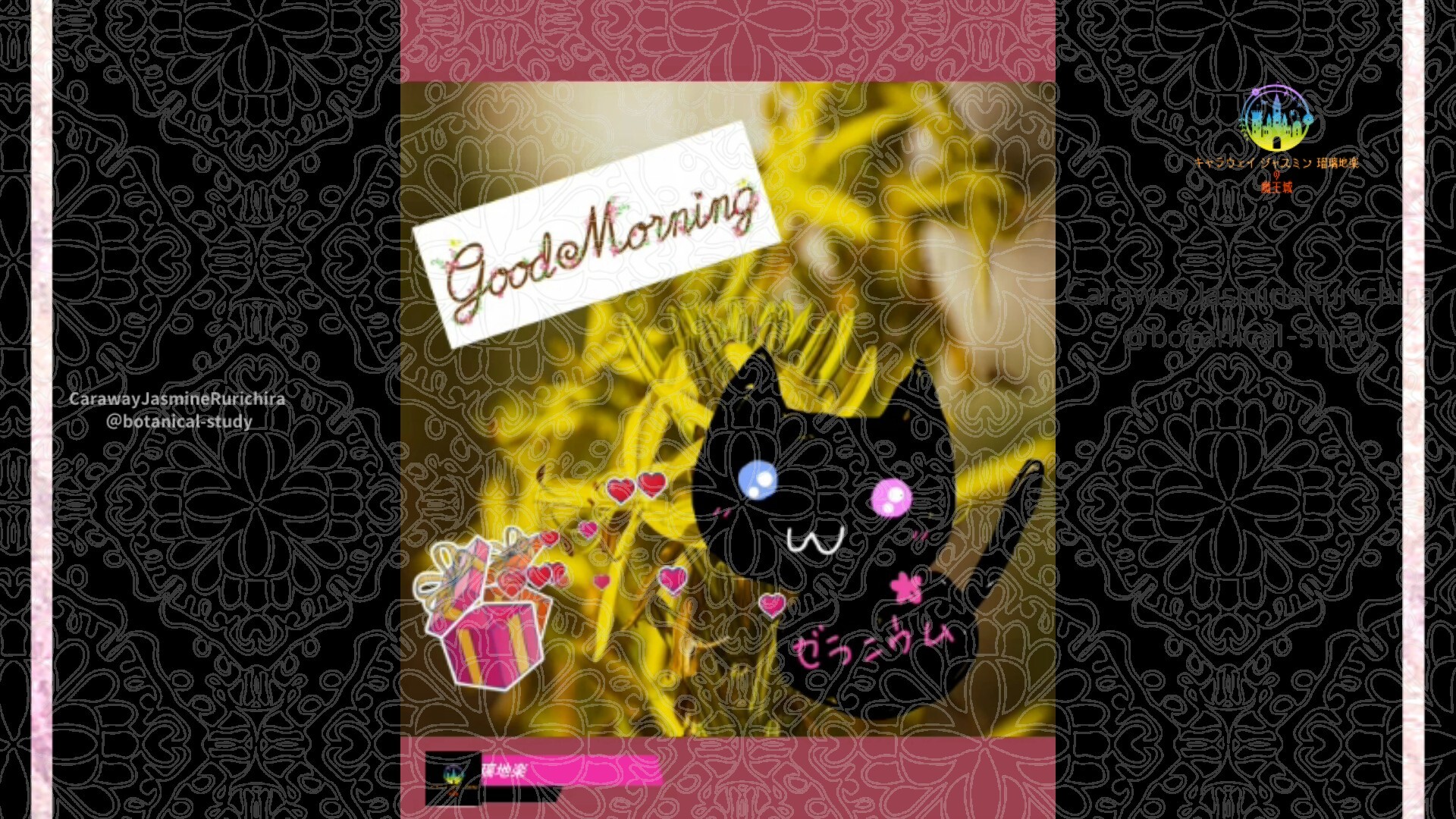 11月6日誕生花アスフォデリネby Cジャスミン瑠璃地楽 | botanical-study.com