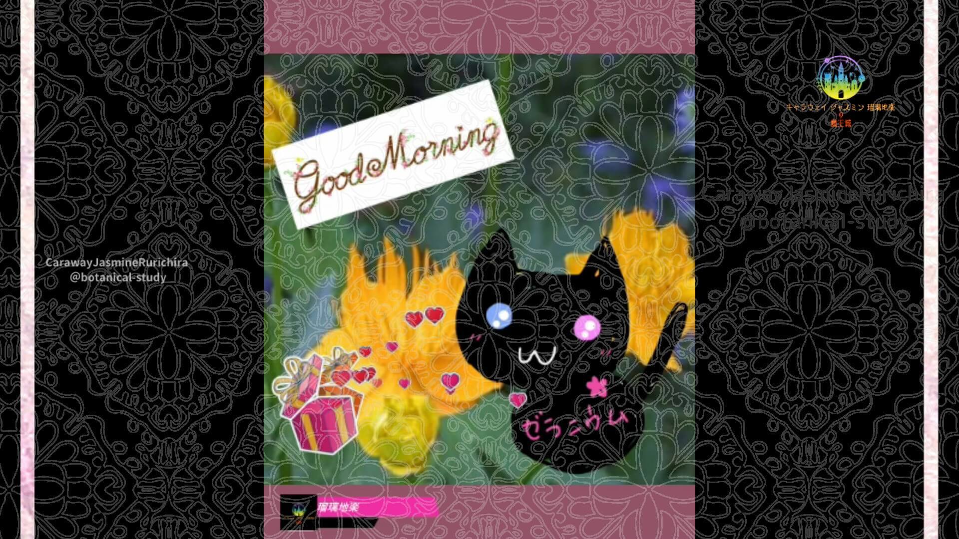 11月24日誕生花トロリウスby Cジャスミン瑠璃地楽 | botanical-study.com