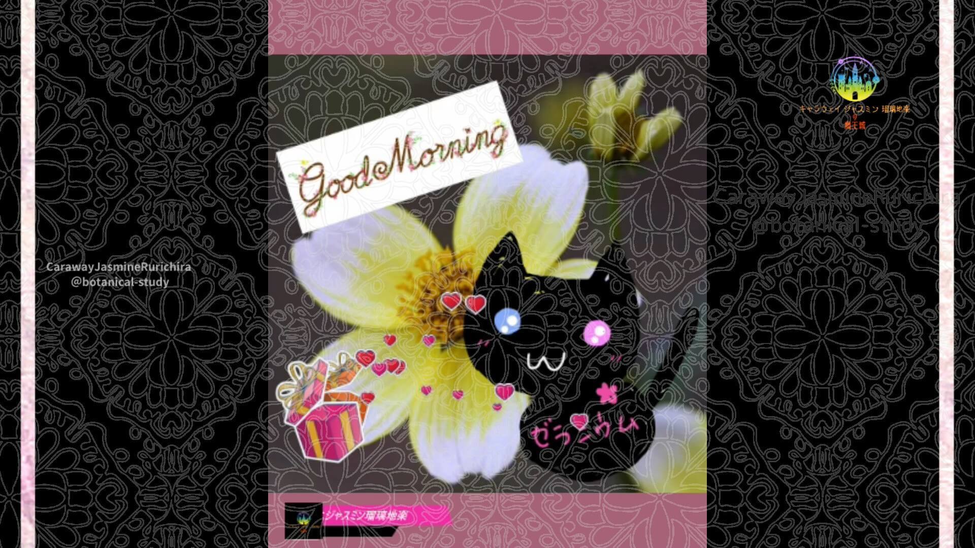 11月20日誕生花ウインターコスモスby Cジャスミン瑠璃地楽 | botanical-study.com