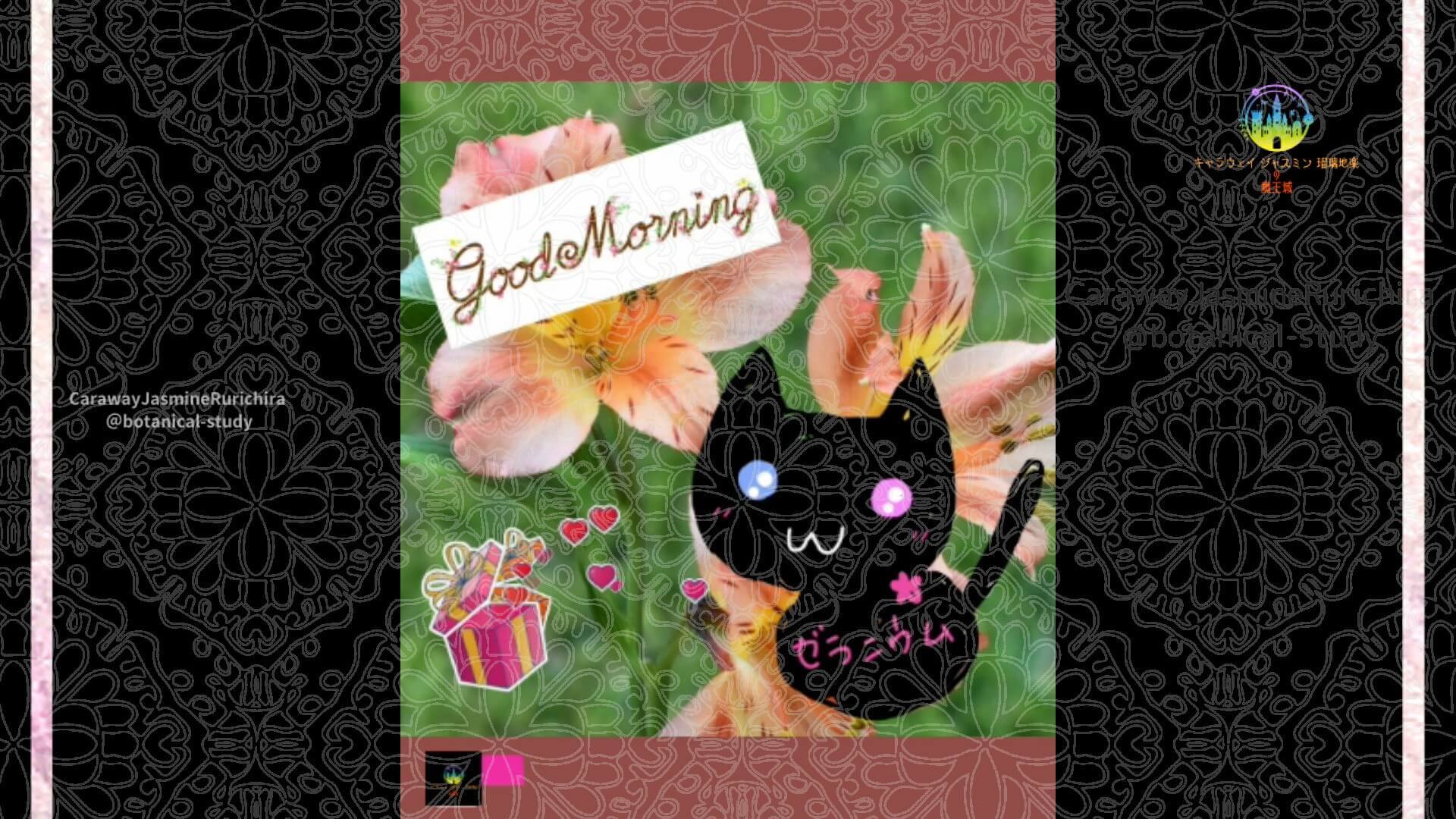 11月19日誕生花アルストロメリアby Cジャスミン瑠璃地楽 | botanical-study.com