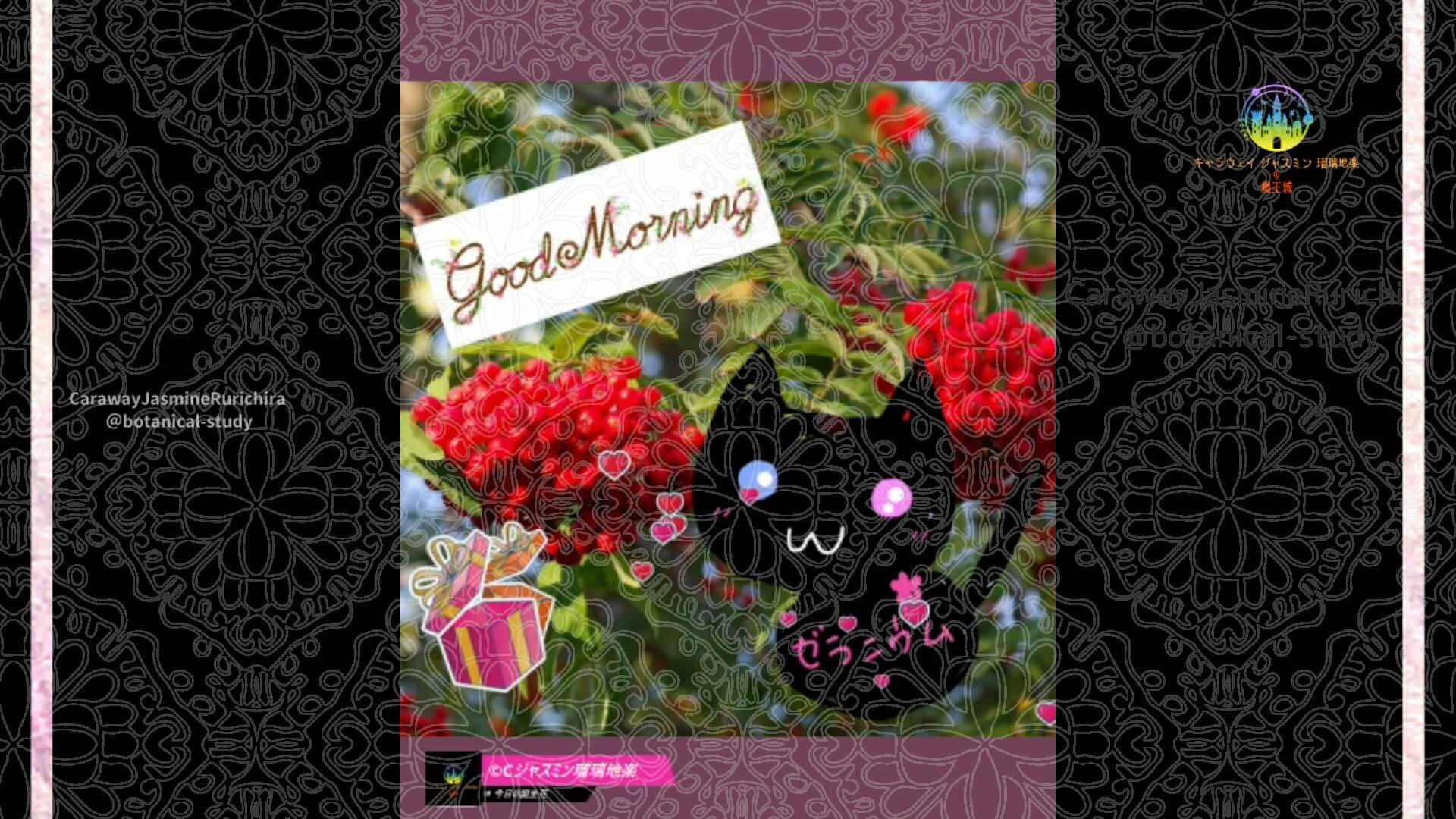 11月18日誕生花ナナカマドby Cジャスミン瑠璃地楽 | botanical-study.com