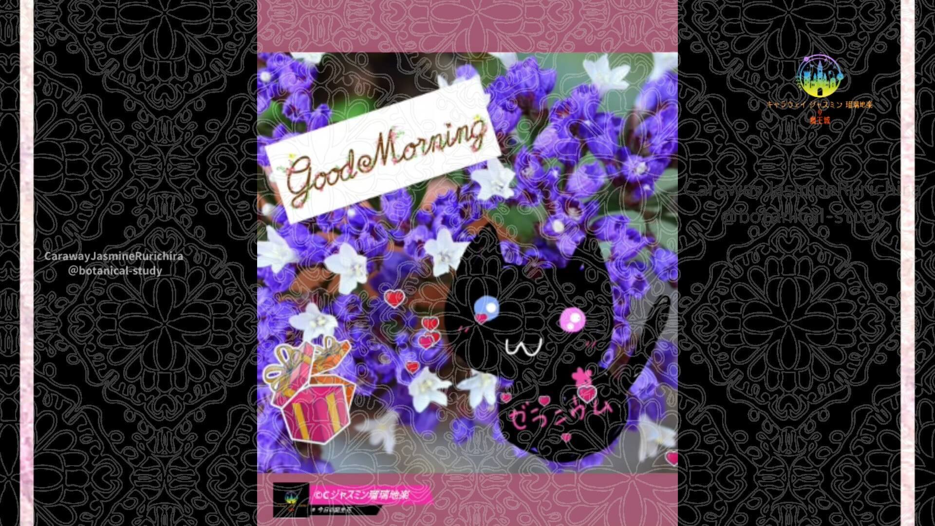 11月11日誕生花スターチスby Cジャスミン瑠璃地楽 | botanical-study.com