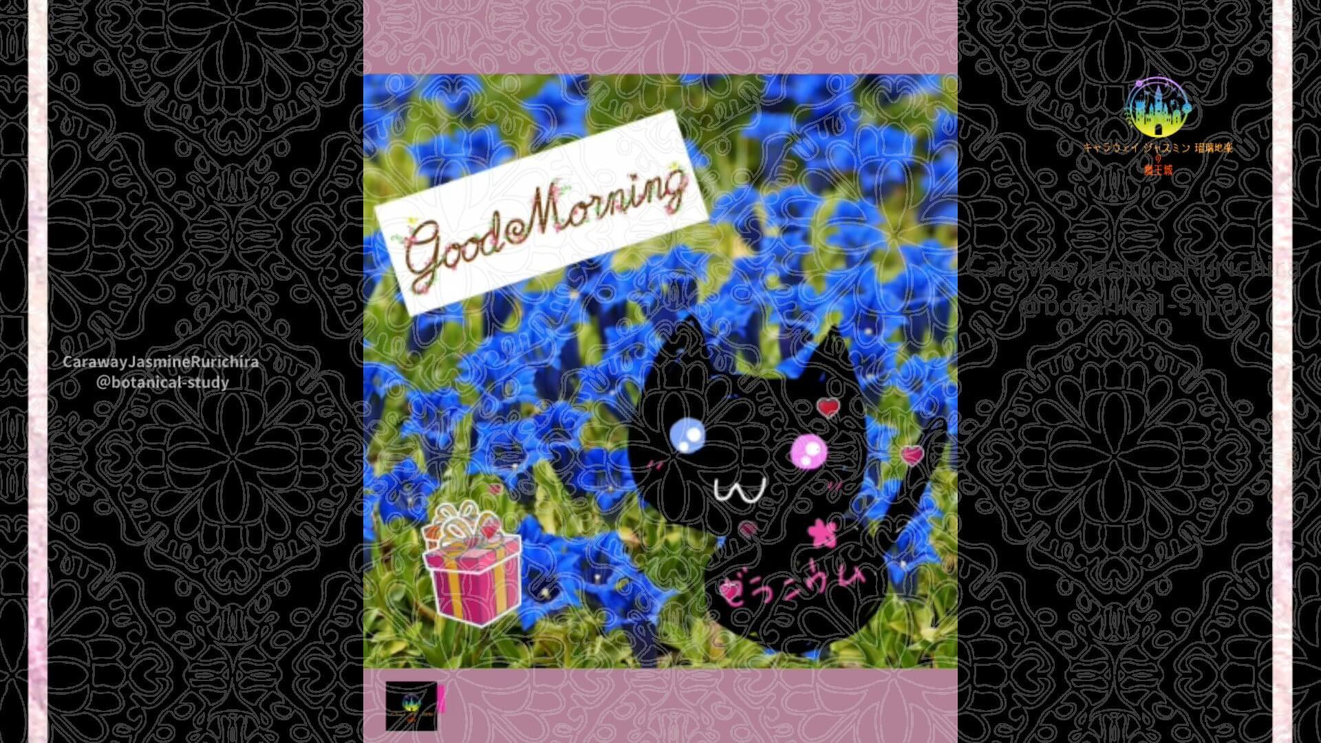 11月22日誕生花ローズマリーby Cジャスミン瑠璃地楽 | botanical-study.com